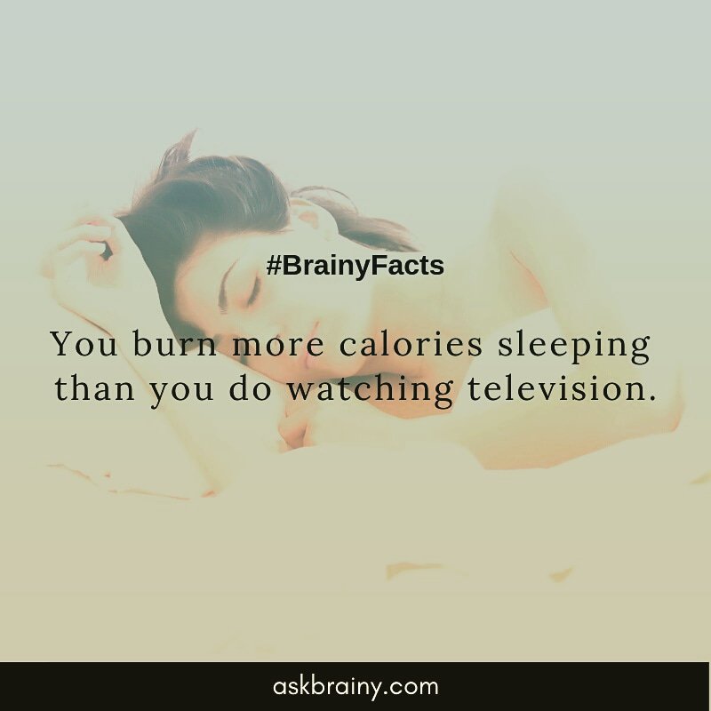 ask_brainy's tweet photo. #factoftheday #facts #health #helthylifestyle #diet #human #television #technology #sleeping #sleep #askbrainy #amazing https://t.co/PNN6Nzcaoa