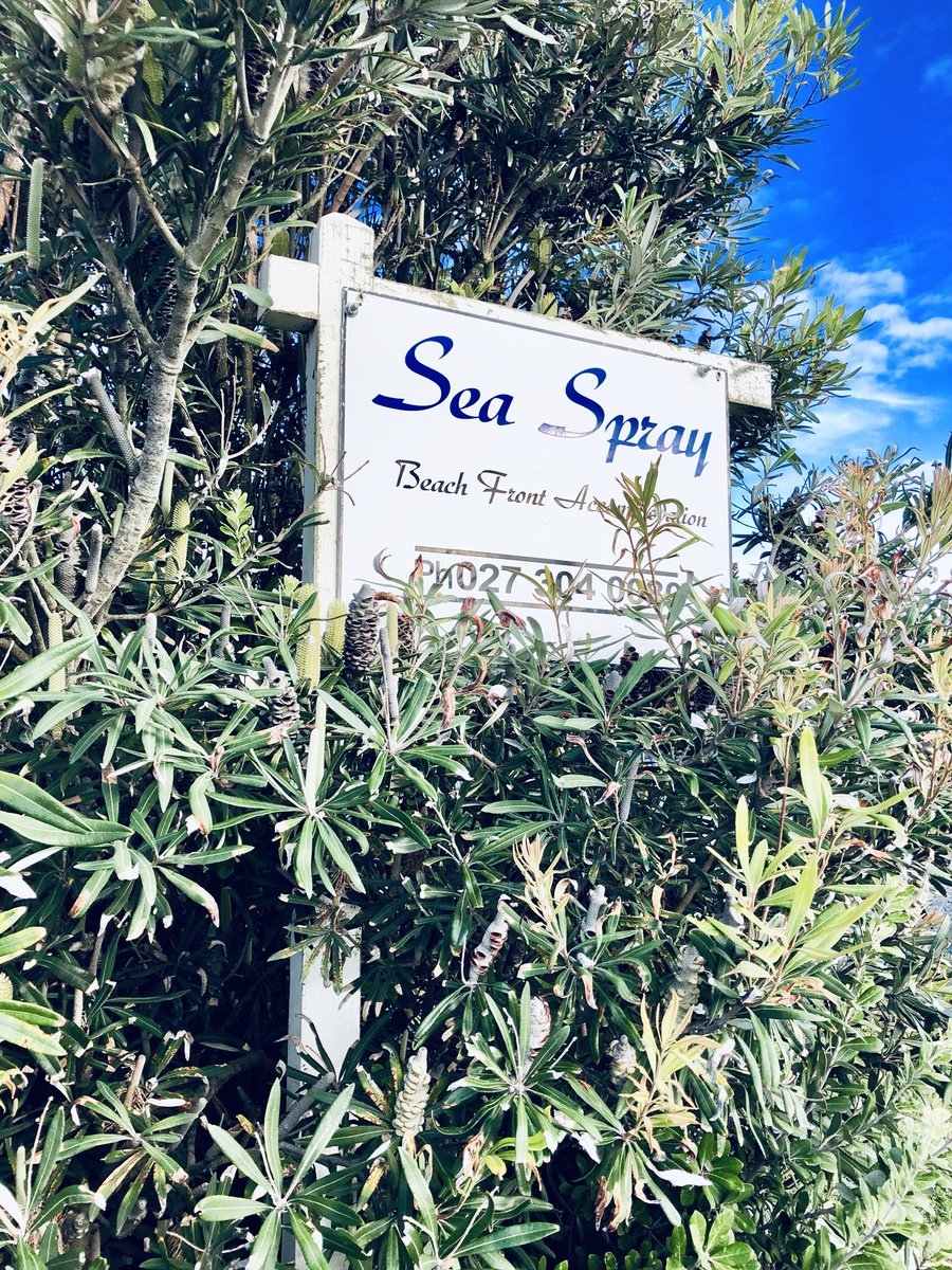 PencilInnCt's tweet photo. A little place by/on/in the sea/beach. #TeAwanga https://t.co/oxCxNzI0Hr