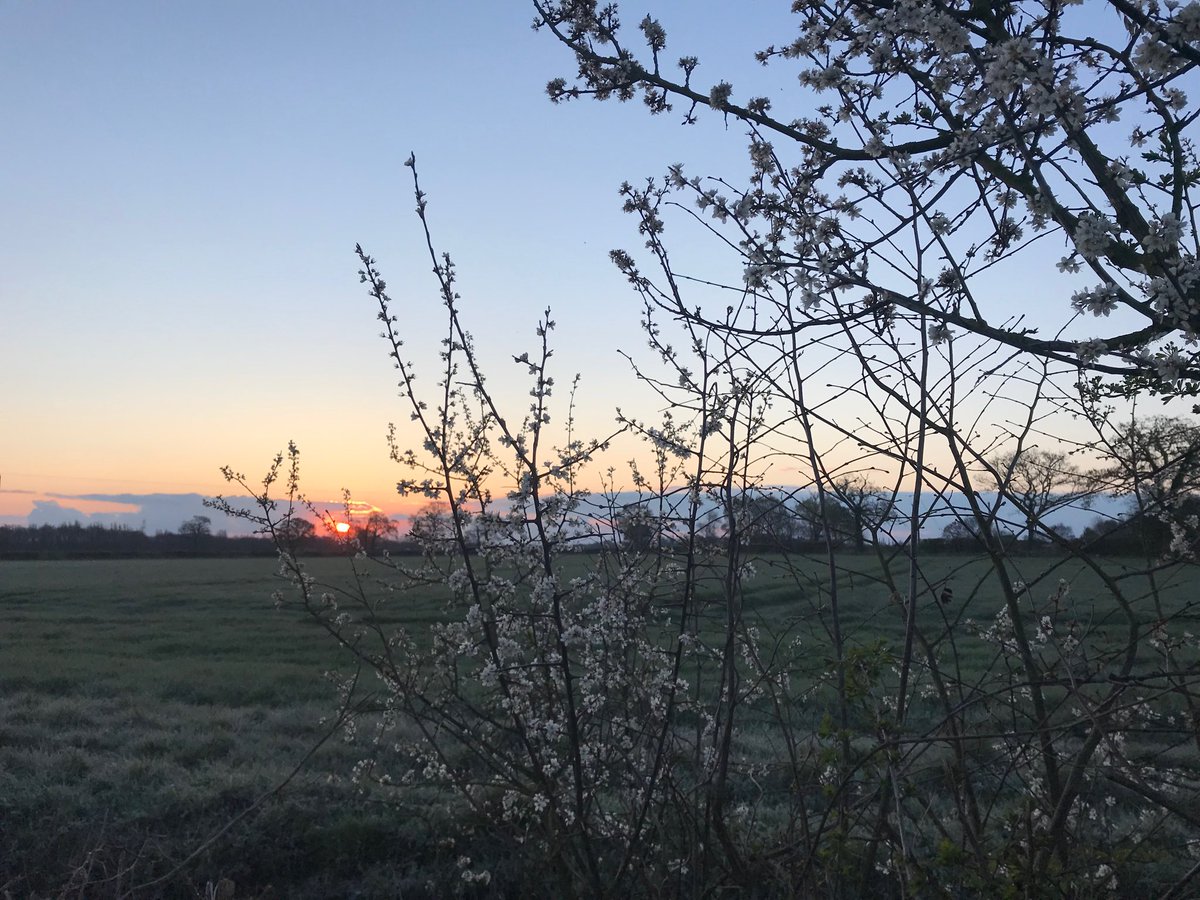 North Kesteven District Council (@northkestevendc) on Twitter photo A dawn walk with <a href="/LincsWildlife/">Lincs Wildlife Trust</a> from <a href="/WhisbyNatureP/">Natural World Centre</a> is a great way to discover the delights of <a href="/NorthKestevenDC/">North Kesteven District Council</a> early doors. A dawn walk with <a href="/LincsWildlife/">Lincs Wildlife Trust</a> from <a href="/WhisbyNatureP/">Natural World Centre</a> is a great way to discover the delights of <a href="/NorthKestevenDC/">North Kesteven District Council</a> early doors.