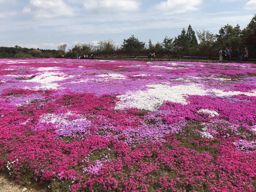松本つつじ園