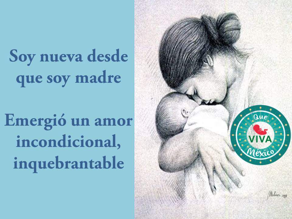 Brenda Del Río tweet media