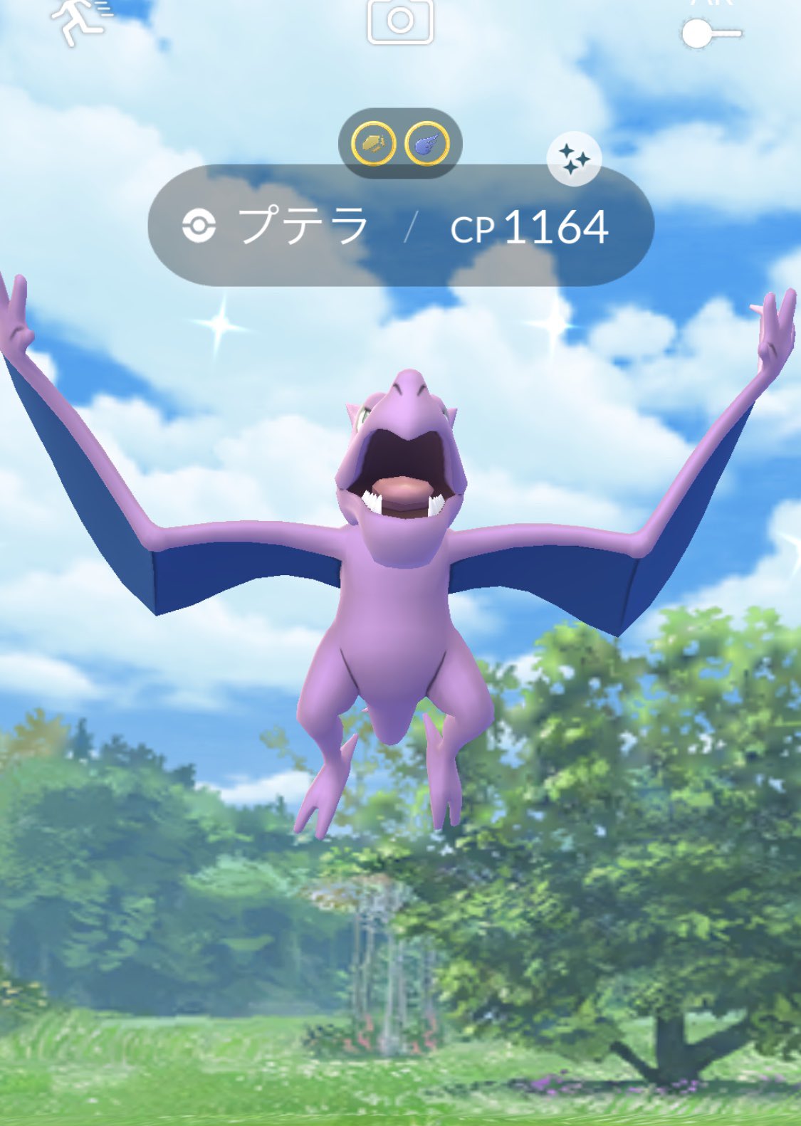 色違いプテラ Twitter Search Twitter