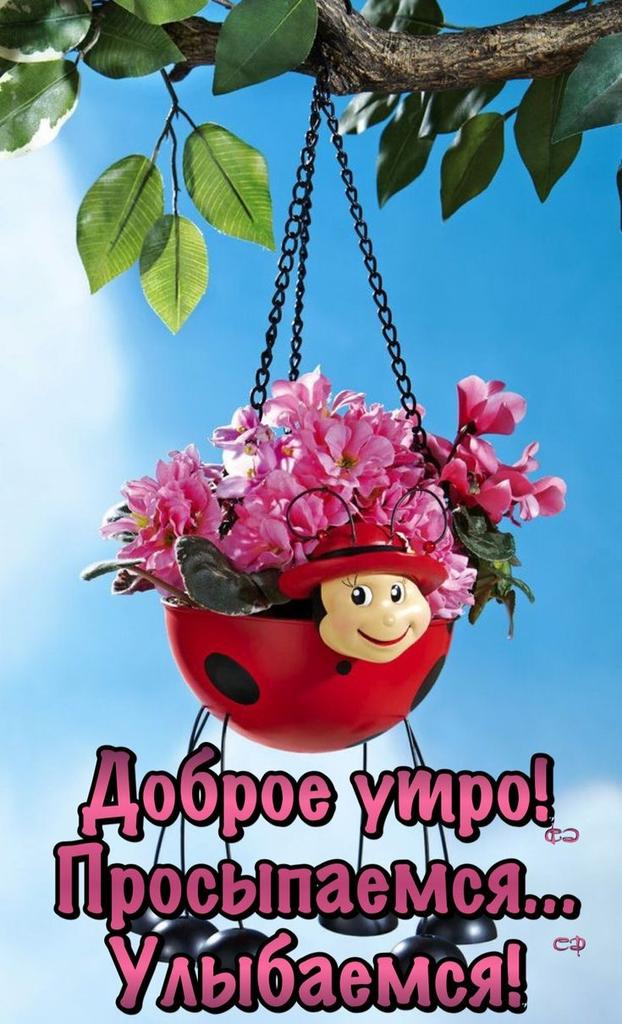 Улыбка доброго утра открытки, днем рождения шефу