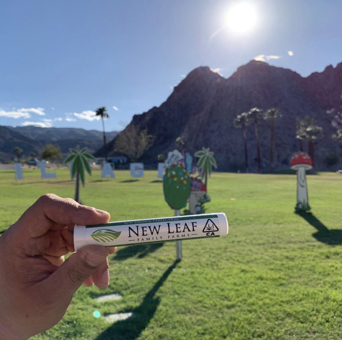 NewLeafFarms's tweet photo. Kick starting the #Coachella weekend with New Leaf prerolls. #desertlife🌵 #sungrownperfection #sungrowncannabis #funinthesun😎 #newleaffamilyfarms #prerolls https://t.co/rg3gdZ8b8D