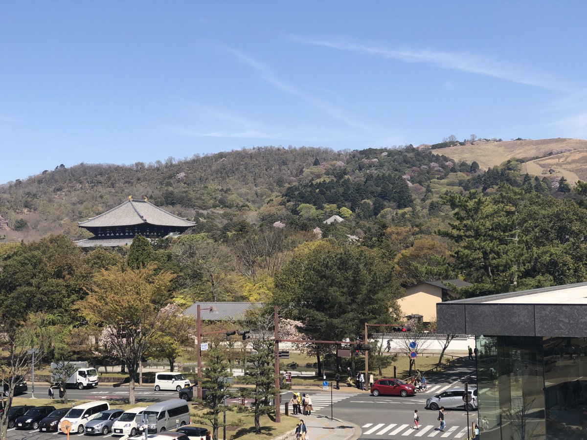 eggnaraymca's tweet photo. Nara Park bus terminal was open to public and Sento-Kun appeared !
The roof garden has a panoramic view ❣️奈良公園バスターミナルがオープン、せんとくんも来ました😍 #sentokun #narapark #naraparkbusterminal https://t.co/5sTH7mBonb