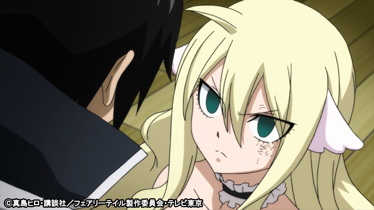 Fairy Tail Fr