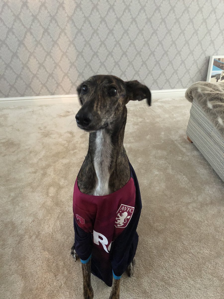 On the way to watch <a href="/AVFCOfficial/">Aston Villa</a> make it 8 out of 8, had to leave the mascot at home