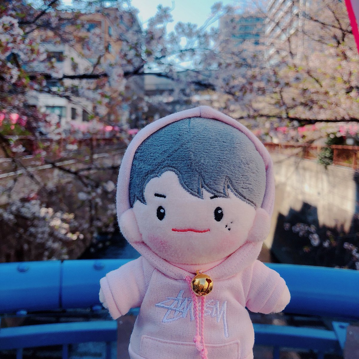 [SLOW] 솜비드💗 ᵂᴱᴸᴼ tweet media