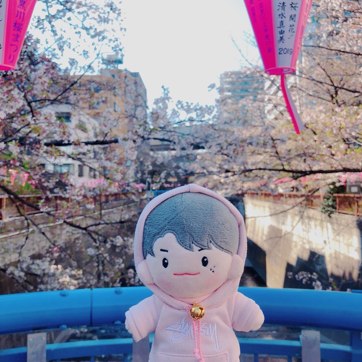 [SLOW] 솜비드💗 ᵂᴱᴸᴼ tweet media