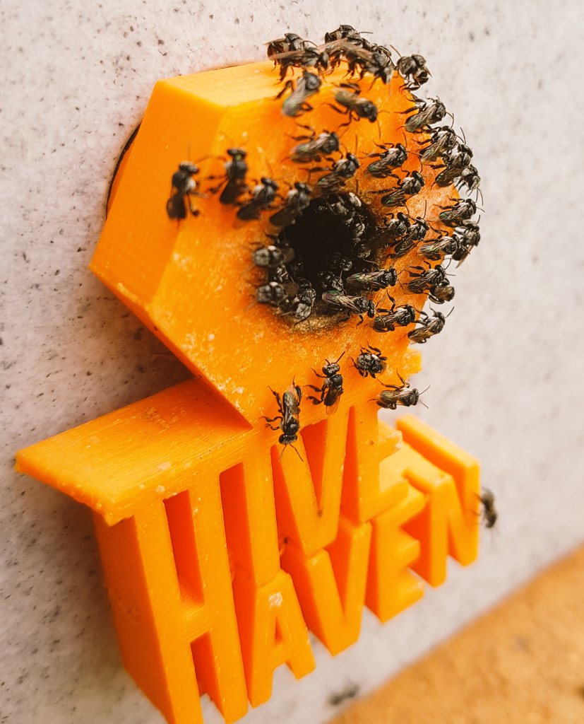 When we moved Australian native stingless  #bees into  @Aust_Parliament a lot of people asked what happens in winter. They are a tropical species, and cannot survive the harsh Canberra winters  @HiveHaven  @Aurecon  @ANU_Bees