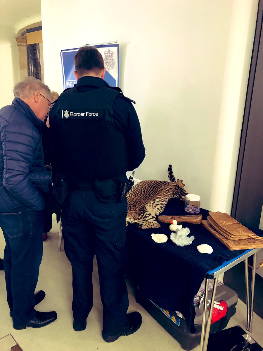 tecmcr's tweet photo. #breakingnews @UKFast duck detained by #ukborderforce Eddie and Adam ๐ wijnaldum_gini @MCCWorkSkills #saturdayspectacular @MancLibraries #stpeters https://t.co/9kZ1LhChRi