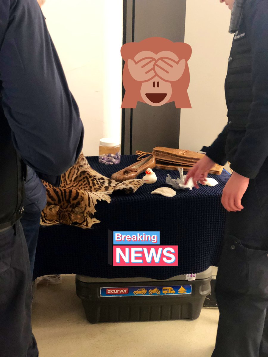 tecmcr's tweet photo. #breakingnews @UKFast duck detained by #ukborderforce Eddie and Adam ๐ wijnaldum_gini @MCCWorkSkills #saturdayspectacular @MancLibraries #stpeters https://t.co/9kZ1LhChRi