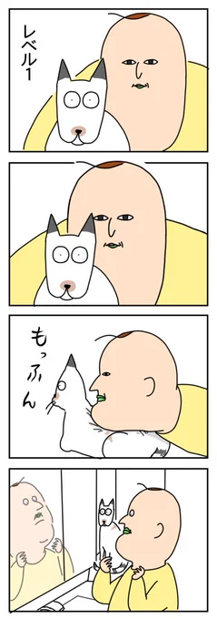 猫アレルギー② 