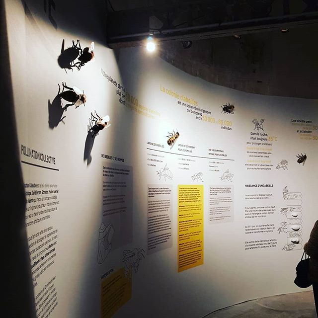 greapz's tweet photo. BEE-DAY 🐝 : Venez decouvrir les abeilles imprimées en 3d pour l'oeuvre "La Ruche" à la fondation Good Planet
#3dprint #abeilles #impression3d https://t.co/B5pCImtpNg https://t.co/AXI87IKVBM
