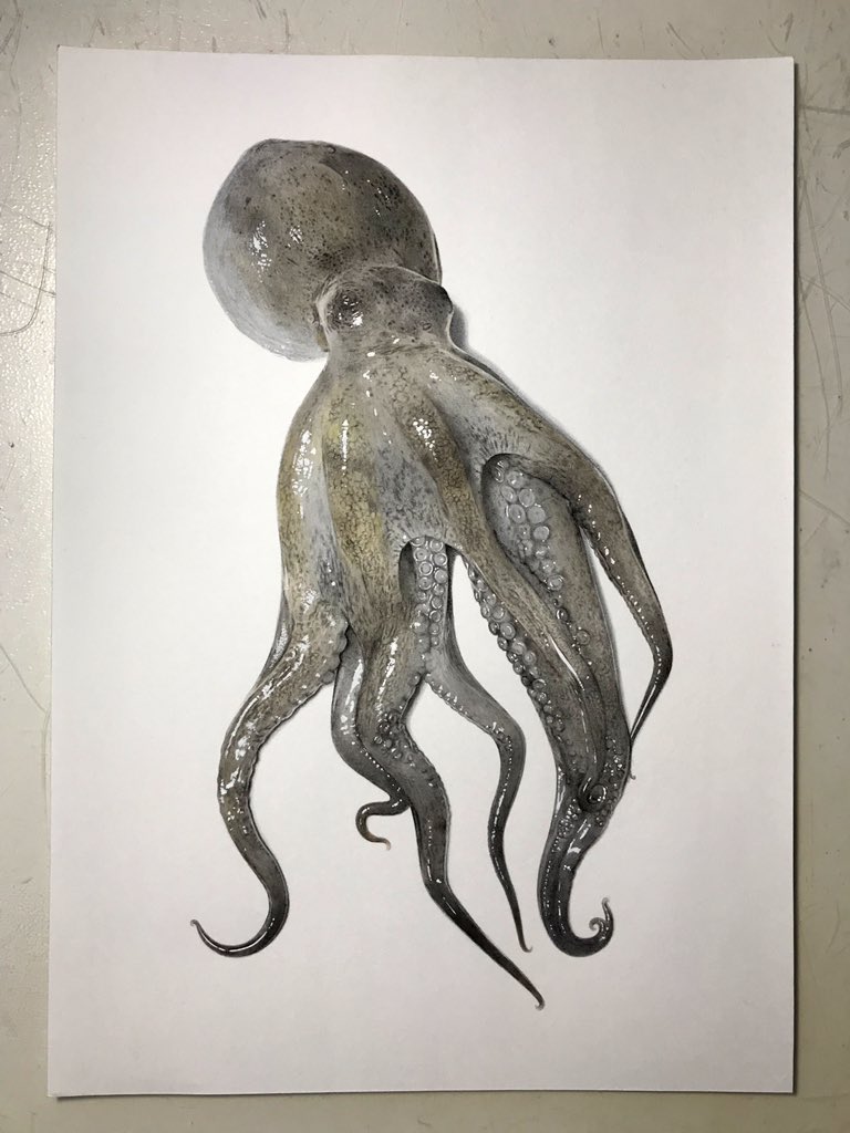 徳田有希 タコ描きました 徳田有希 タコ描きました