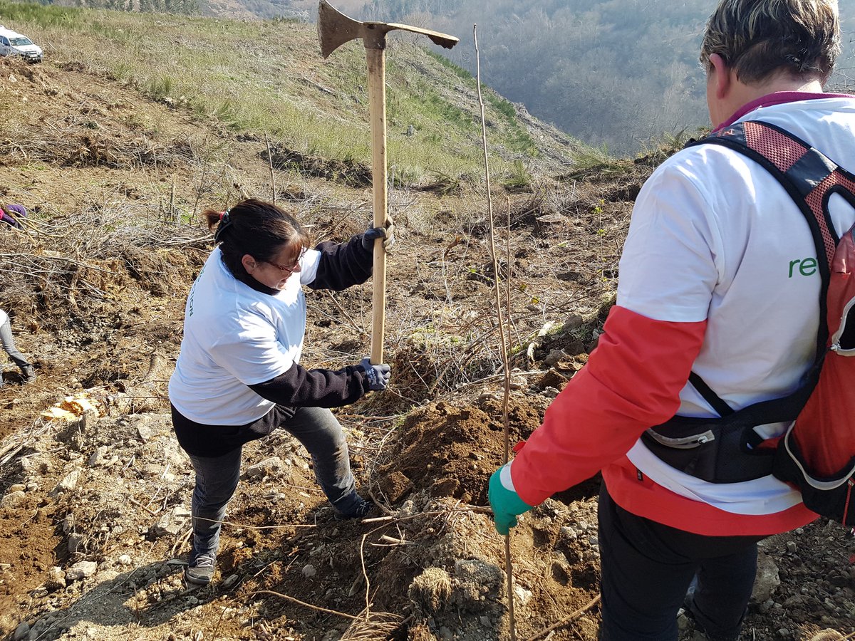 Enedis_AuRA's tweet photo. Merci aux ligeriens bénévoles qui ont fait de cette opération un succès 🌳🌳!400 arbres plantés à #saintromainlesatheux  #defireussi !  @LoirePresse @PilatmonParc https://t.co/cup0iPncRd