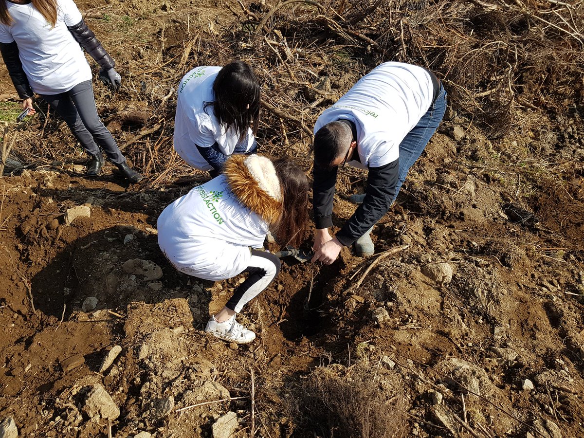 Enedis_AuRA's tweet photo. Merci aux ligeriens bénévoles qui ont fait de cette opération un succès 🌳🌳!400 arbres plantés à #saintromainlesatheux  #defireussi !  @LoirePresse @PilatmonParc https://t.co/cup0iPncRd