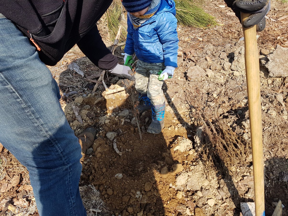 Enedis_AuRA's tweet photo. Merci aux ligeriens bénévoles qui ont fait de cette opération un succès 🌳🌳!400 arbres plantés à #saintromainlesatheux  #defireussi !  @LoirePresse @PilatmonParc https://t.co/cup0iPncRd