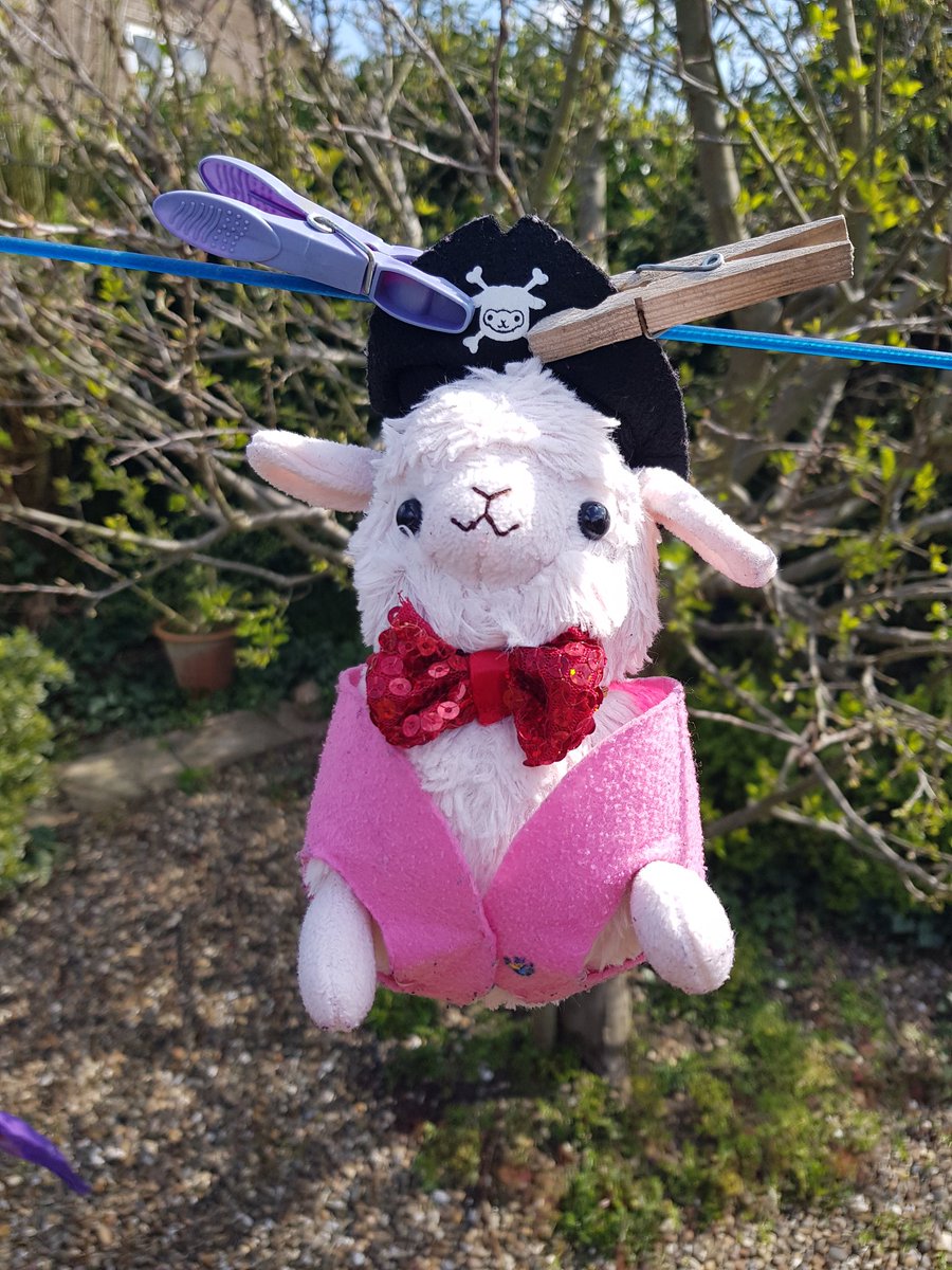 SarahElliotAuth's tweet photo. #miniace #plushi #washingday #alpaca #mascot
Wheee! I had a wash today and am now having fun in the sun and the breeze whilst Mammy writes
What are you doing today? https://t.co/iVzpExSsJN