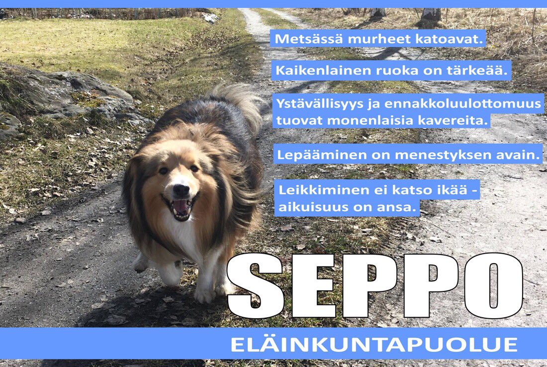 Eläinkuntapuolueen karvainen edustaja on myös nautiskelemassa vaalikeväästä. Annoin oman ääneni kuulua, kun sanoin wuf hau kesken onnellisuushepulin

Tässä kirmataan hyvinvoivan Suomen ja loistotuulen puolesta!

Näiden teemojen takana oon aina ollut vakaasti. ✌️💯 #vaalit2019