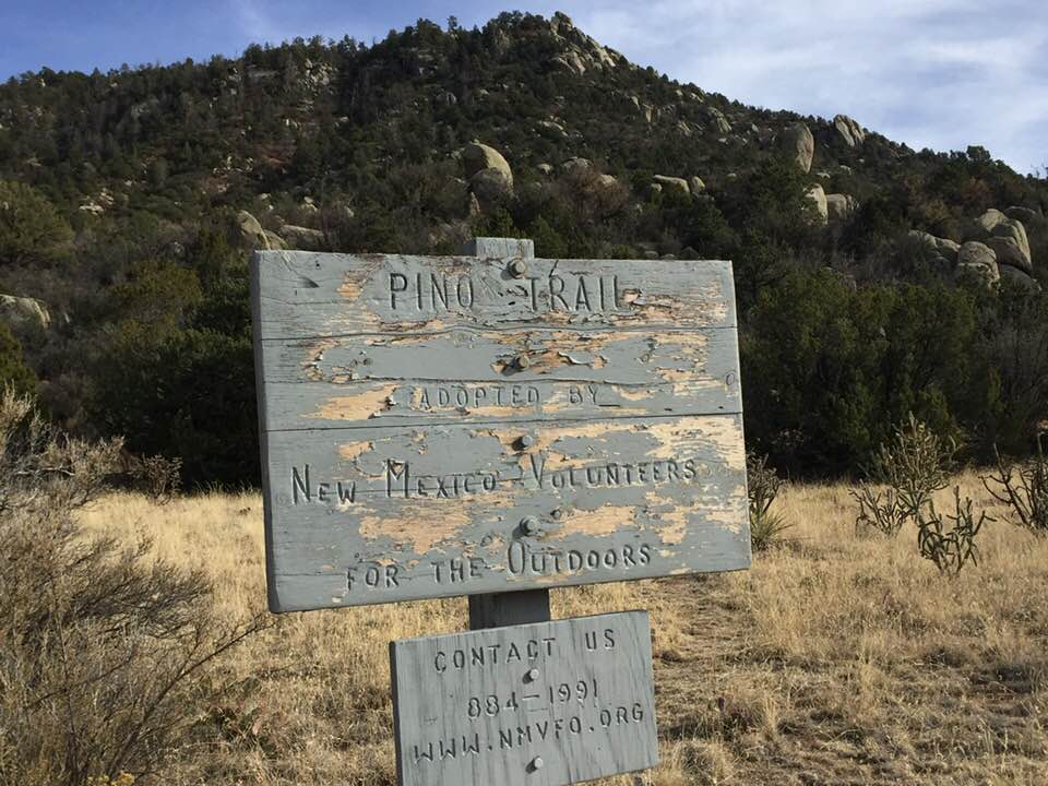 RealTrailSigns's tweet image. Pino Trail in the Sandia Mountain Wilderness.
