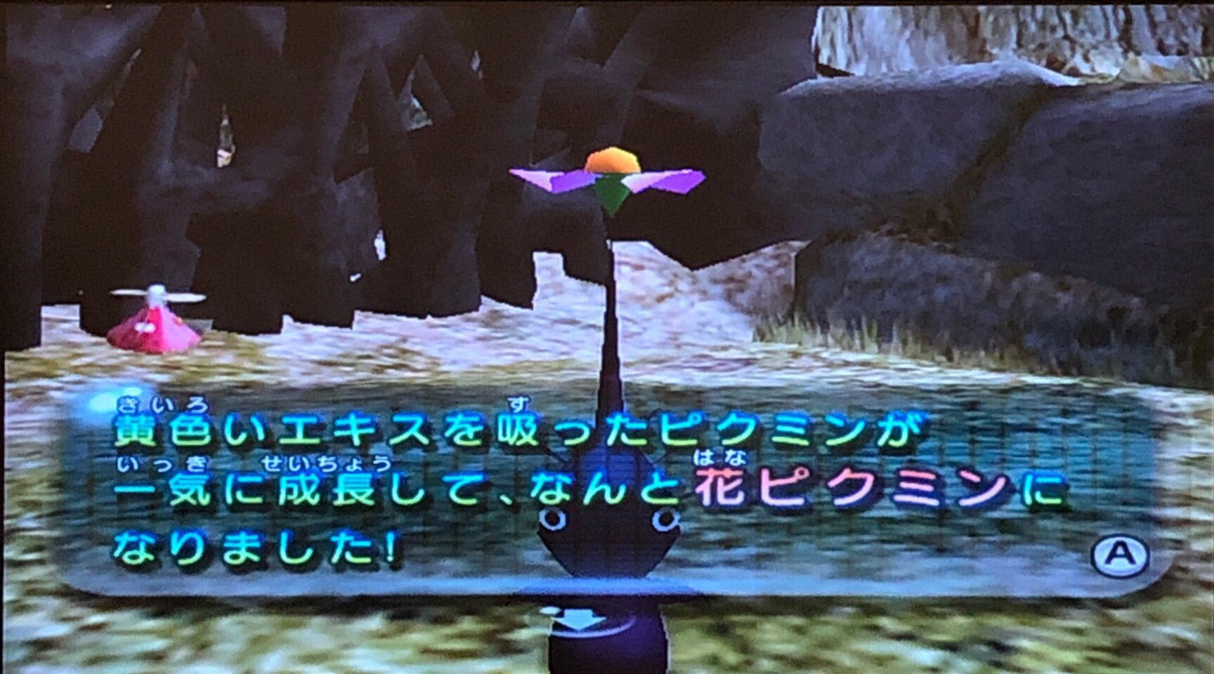 スラヨシ アンテ ポケダン空ネタバレしないでね 地下5がfinalだった Zzzzzzz 寝てる あああああああああクイーンチャッピーいいいいいいいいいい T Co B1oopuevce Twitter