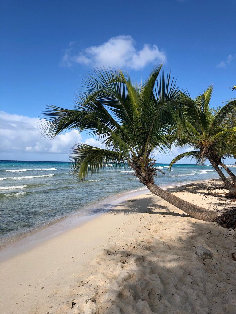 simon_pleace's tweet image. Loving Barbados