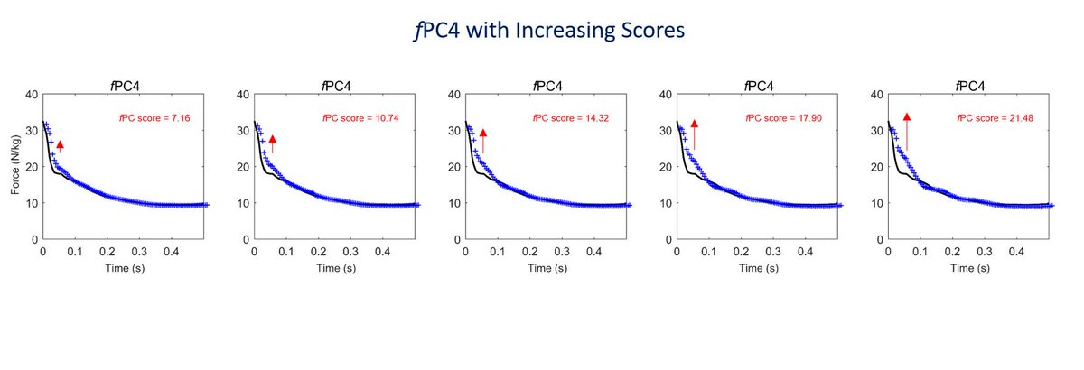 what does fpc stand for