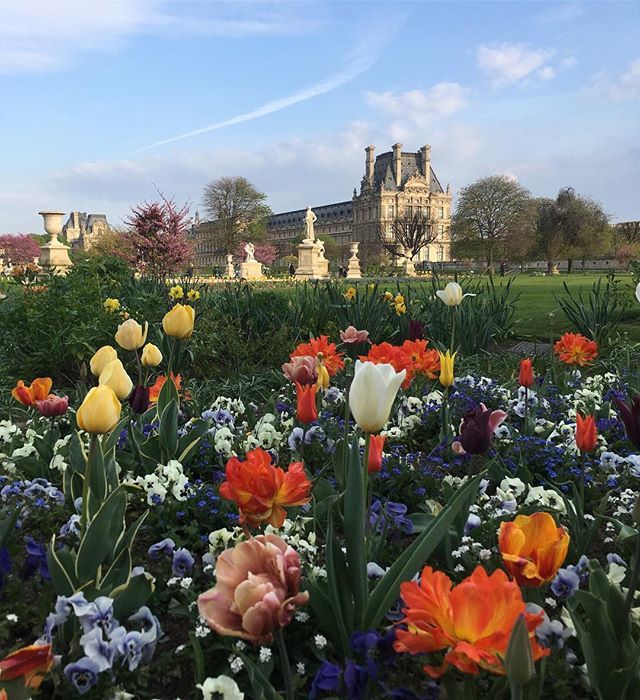 Paris in spring ❤️
.
.
#paris #louvre #france #parisinlove #weekend #traveling #europe #girlswhowander #loveholidays #spring #flowerpower #louvremuseum bit.ly/2X74sPl