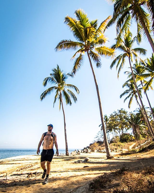 seeyanever_com's tweet photo. Fuck I love palm trees 🌴 does anyone not love palm trees? 🌴 I swear they make everyone happy 🌴 https://t.co/CwBSULTVpk https://t.co/PX5DI2CywG