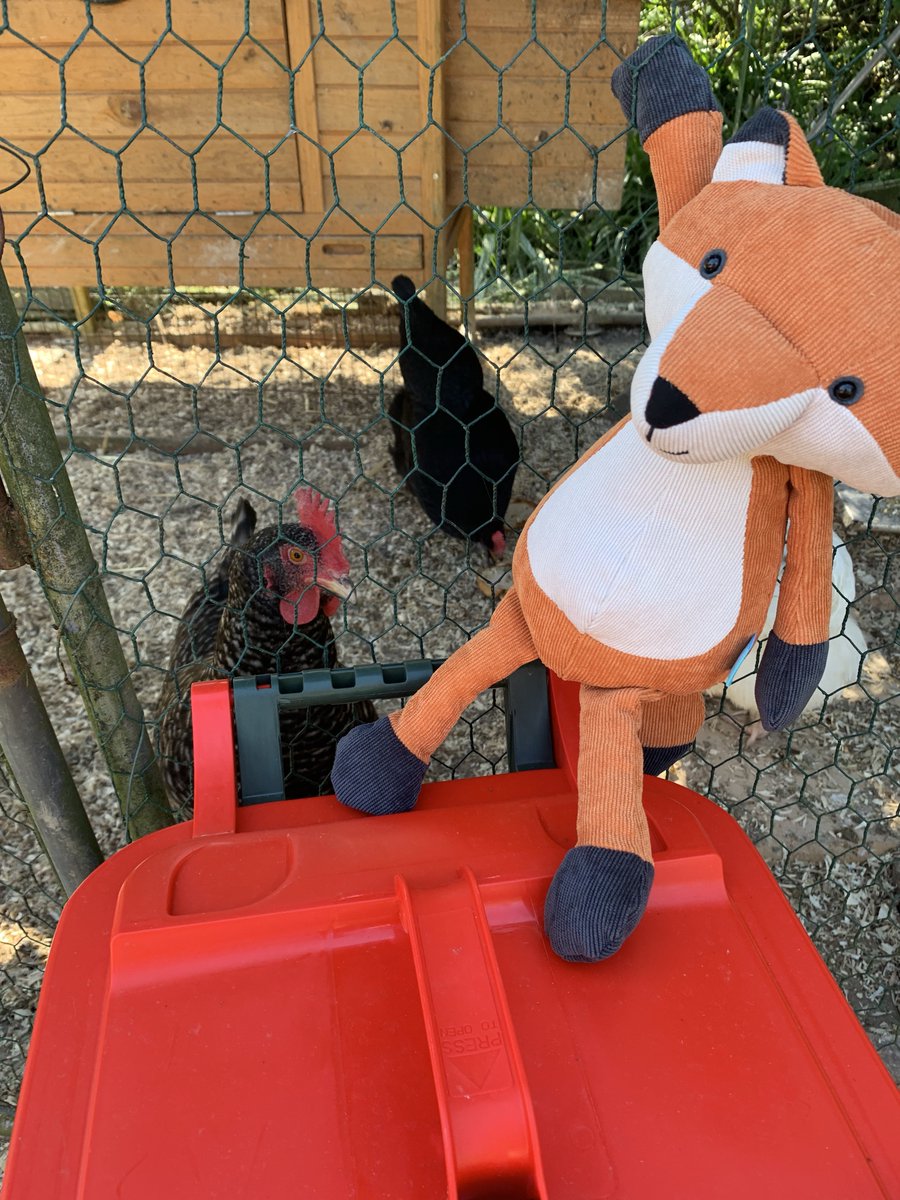 CoralproductsUK's tweet photo. Just hanging around on a Saturday #FollowFelix #foxproof ! Make a difference with our Fox Proof and domestic animal proof caddy. Saves mess and can save the lives of our fur friends #dogs #cats. Contact sales@coralproducts.com https://t.co/8uPB5qO4Ce