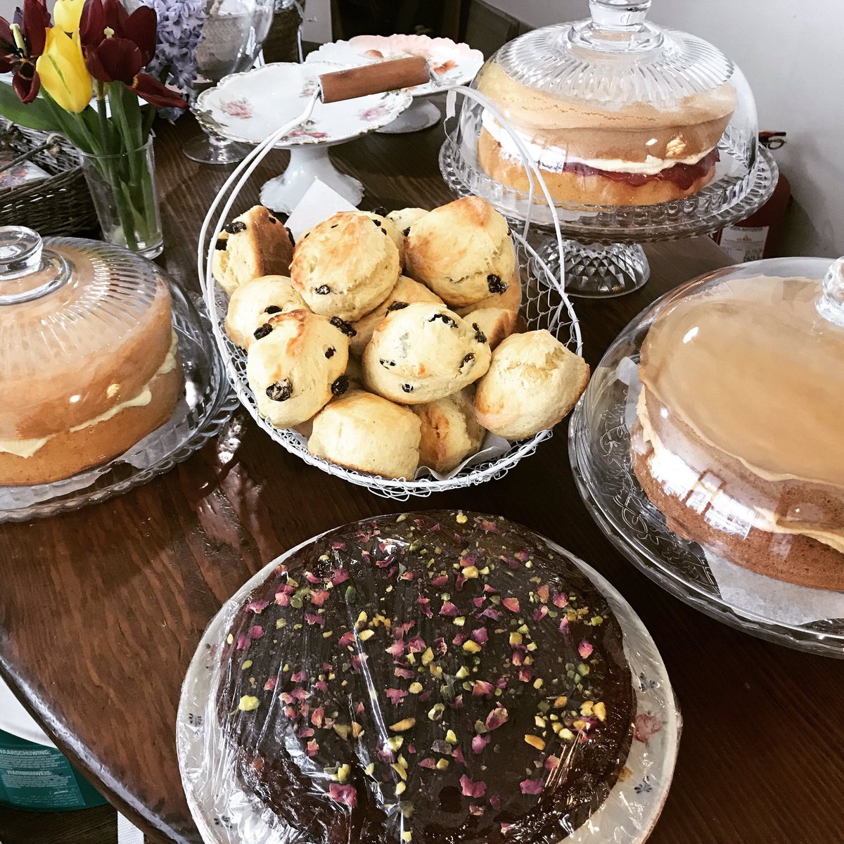 The Tea House tweet media