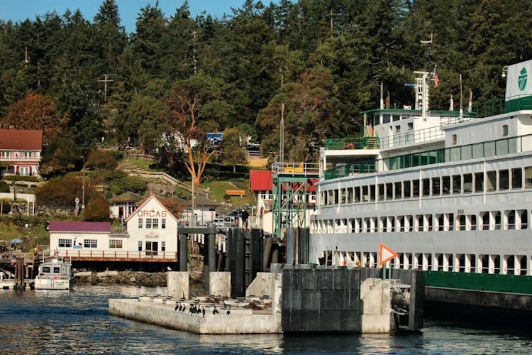 Doe Bay Fest tweet media