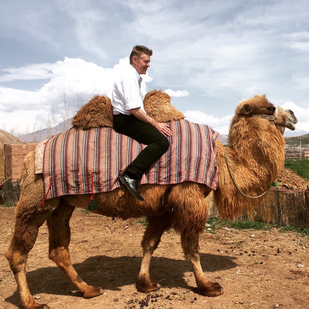 Riding High! #camel. #village. #riding. #rural. pic.twitter.com/ZH4dLDg9mN....