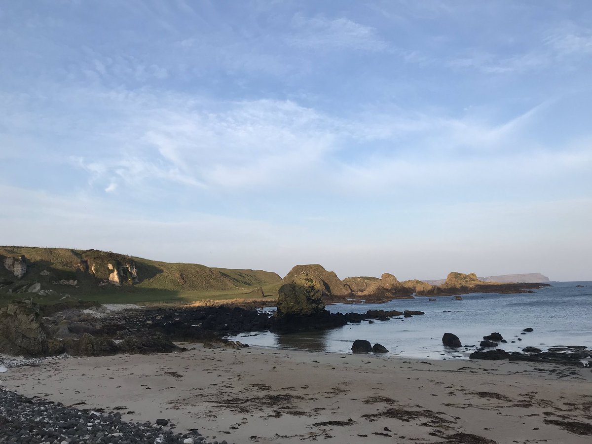 Richard Donaghey tweet media