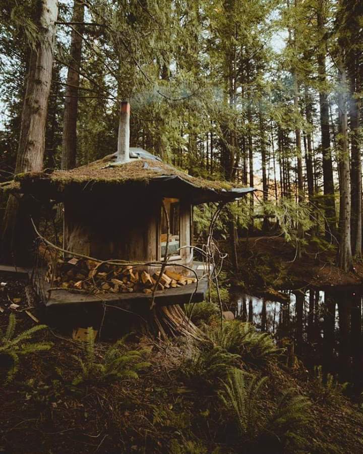 arati_aim's tweet photo. Our dreams and destinations are already exists on earth 💞
Be ready to manifest,😊 https://t.co/NOCXMEwQKQ