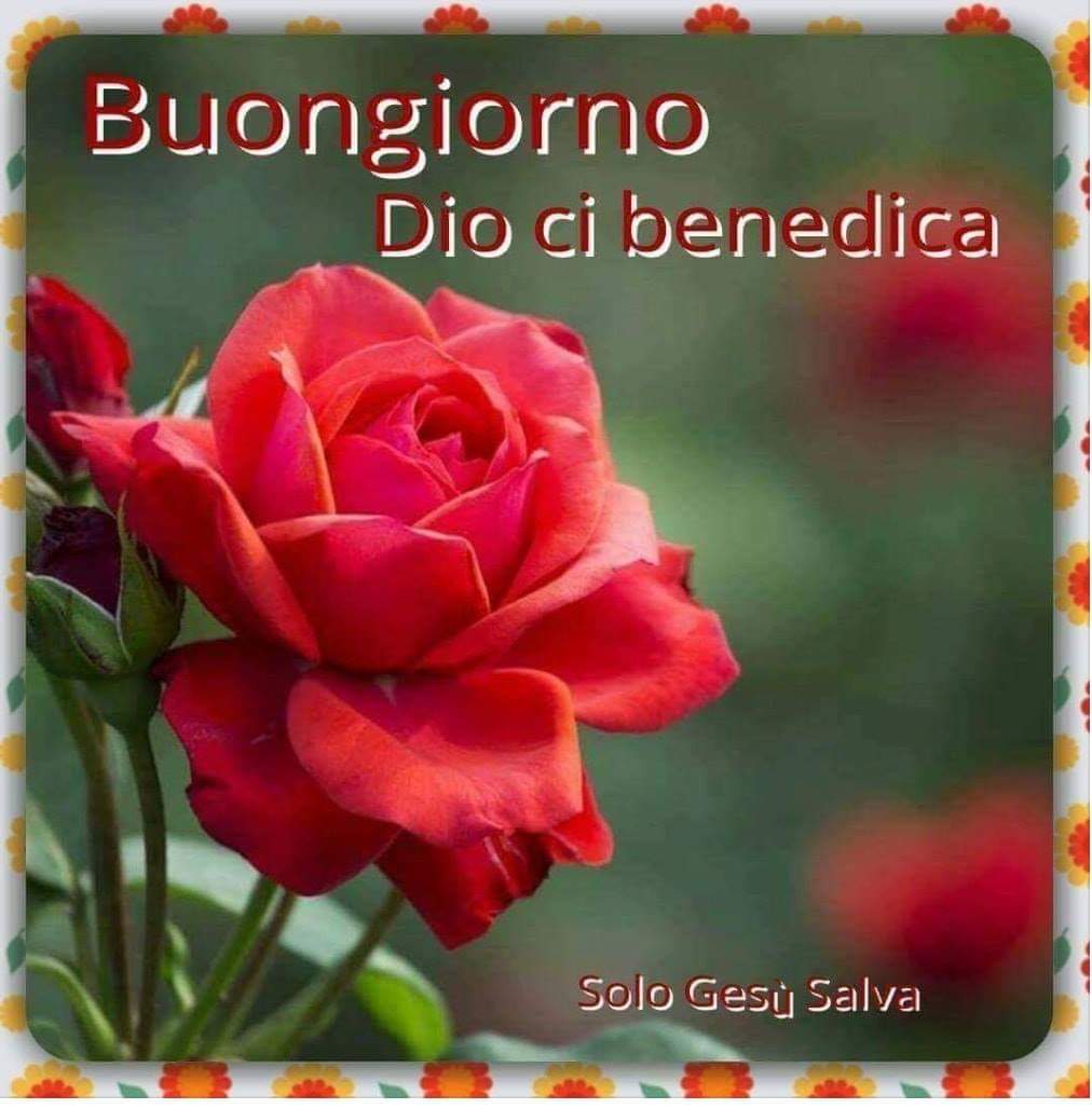 Gina Cutillo Buongiorno Maria Ti Auguro Una Buona Giornata E Un Buon Fine Settimana