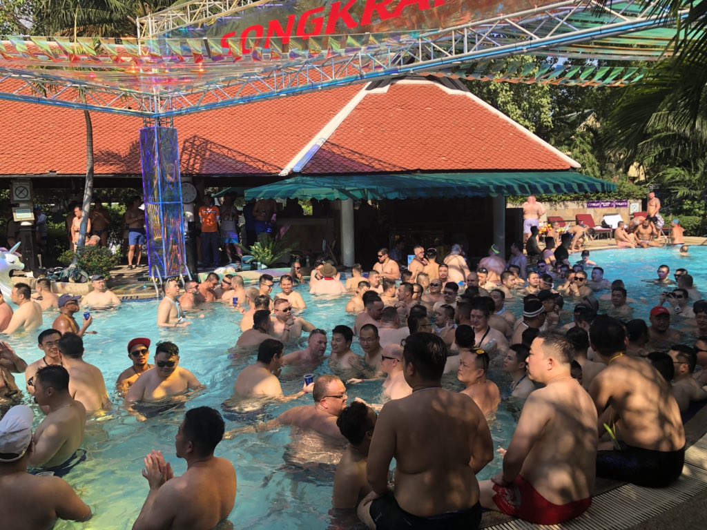 Bear bear everywhere