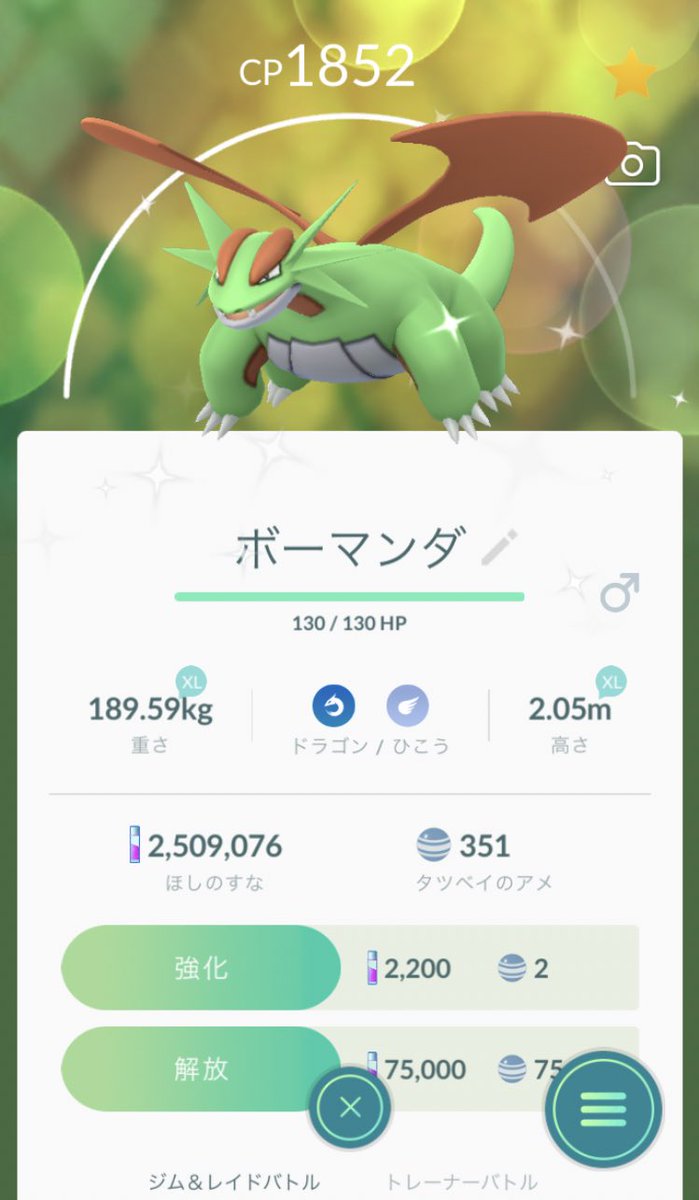 ポケモン go ボーマンダ 対策