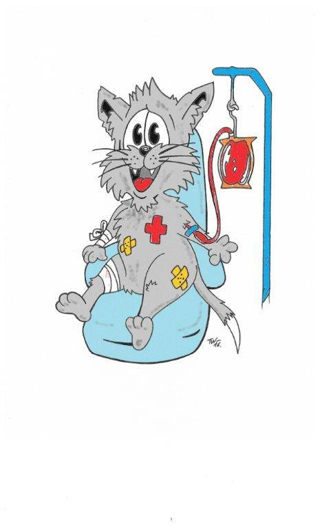 VPfoetchenhilfe's tweet photo. #HELDEN AUF SAMTPFOTEN GESUCHT!
Wir suchen dringend tapfere Helden für unsere #Blutspendedatenbank. Von allen KatzenhalterInnen, die ihre Katze(n) für unsere Blutspendedatenbank registrieren, bekommt jede/r Zweite ein kleines #Überraschungspaket! https://t.co/3Y9Sob9cdT https://t.co/kae75TWczD