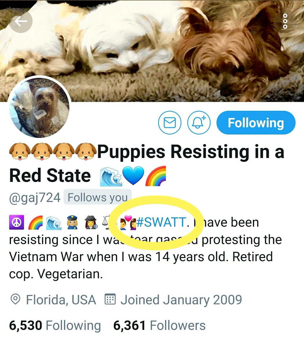 ACTORVIST_PRLFQ's tweet photo. @jkf3500 @Jhogan552 @TerryHa32444924 @HumanityLove321 @320Nanny @dreilc @SueinRockville @Seajay603 @criteria681 @MollyRaePatric3 @Ellasperson @MissPenny18 @ccbandit4resist @jennifer_lovy @ShieldNSword1 @Giantsdiva @LA_Karma1 @SultryNSexy @rizfan @4nancyfhunt @Darkjoy1998 @bannerite @eds_edge @nopartyforme @inklesstales @shuboogie @Lateedah @andibeth012 @JackieHooper12 @Joanna725 @SteelersMichele @lauren_ten @IceKingResist @Chris6375 @Daniell64532295 @Nonafights @kmalone369 @FireGoddessB @CountyEastern @sherryghaemi @FranncescaRobi1 @DetroitLove88 @ResisterSis20 @go4itkcm @grandmaCRS @Divergent2020 O TheJoyOf #BRANDNEW😃
#Swatters💥|#Swattangels💥

yuuge["Official🤪"]#SWATT💥
#WARMWELCOME! @gaj724🌷

NEW INVITES:
1️⃣@is_kathie[⭐just⭐add "#"
2UrThe"SWATT"InUrPROFILE!
2️⃣@jmoody166
[ IF~ u'dLike2JOIN ]
THEN PLEASE ADD
#ISUPPORTSWATT💎
2Yours!

💎#Sanewomenagainst_TEAM_trump💎 https://t.co/fDVYzxLW1i