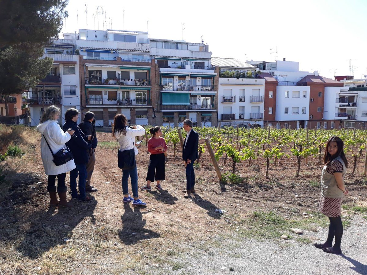 AjSitges's tweet photo. Matí d’inauguració a l’@HospitalSitges amb la posada en marxa del nou Centre d’Interpretació de la Malvasia.
➡️ https://t.co/cw3oYINU8m
#Sitges https://t.co/DqjZcQuAKH