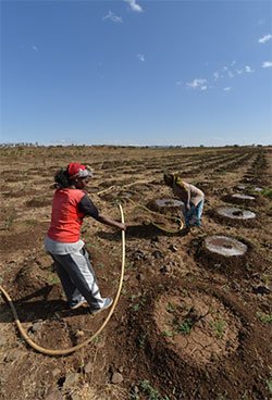 hawelti's tweet photo. MIHAP: A Small but Highly Effective Matrix for Sustainable Growth

"The package includes supplementary activities of dairy farming, honey production &amp; poultry at the rural house-hold level through small &amp; revolving credit facilities"
https://t.co/sgCP4ivCkU https://t.co/8iVrCJbGJT