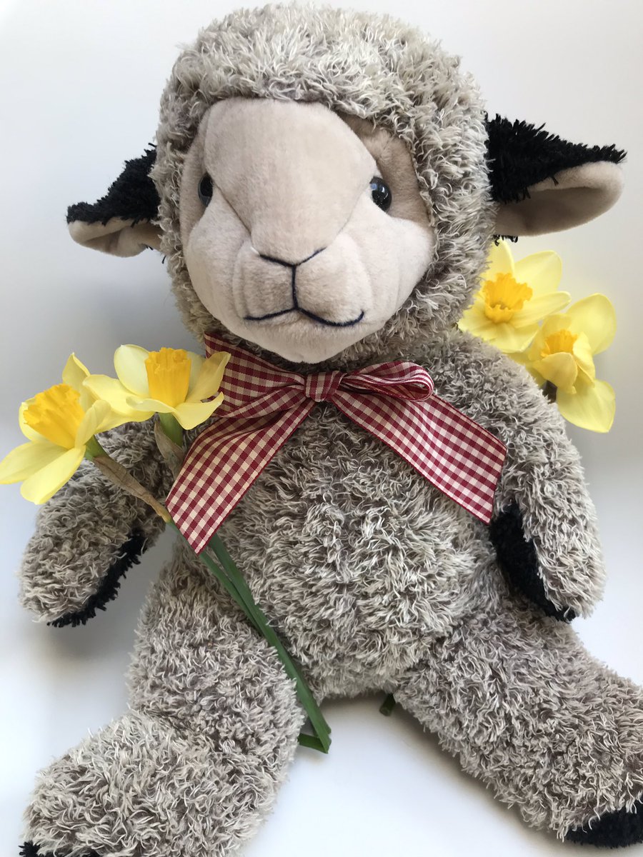 Task #57 Make a cuddly toy look as 