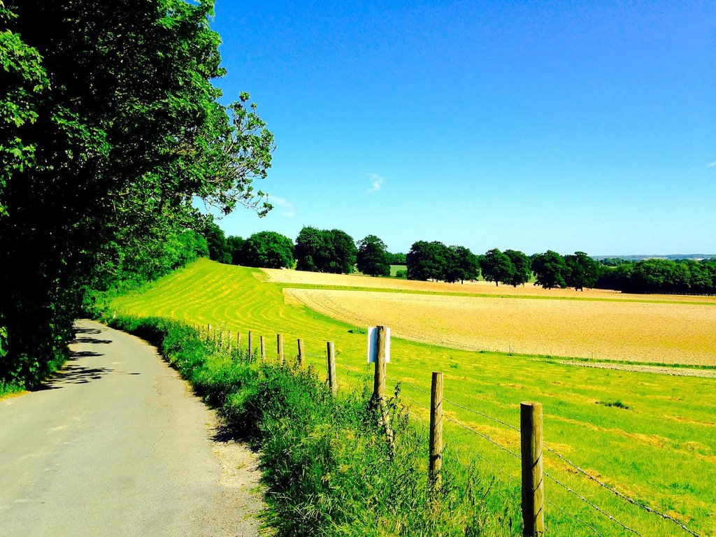 Larner's Cycles tweet media