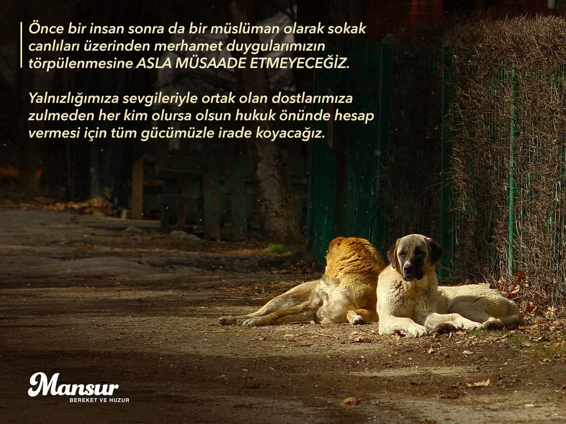 Mansur Yavaş