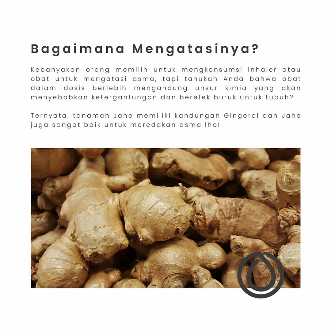 AfrijaW's tweet photo. Bismilah...,
Silahkan klik link berikut ini..,
👉https://t.co/9DjKyvG3ji https://t.co/fc6KeTyOYL