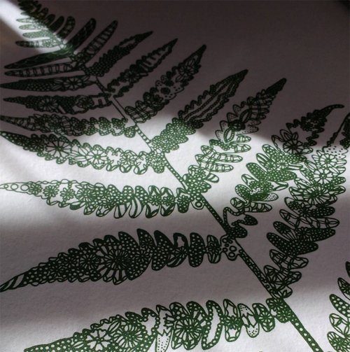 Lace Fern print- in stock at #westcorkcrafts🌿 petaltopetal.com/shop/lace-fern… #artprint #giclee #limitededition #skibbereen #westcork #westcorkcrafts #petaltopetal