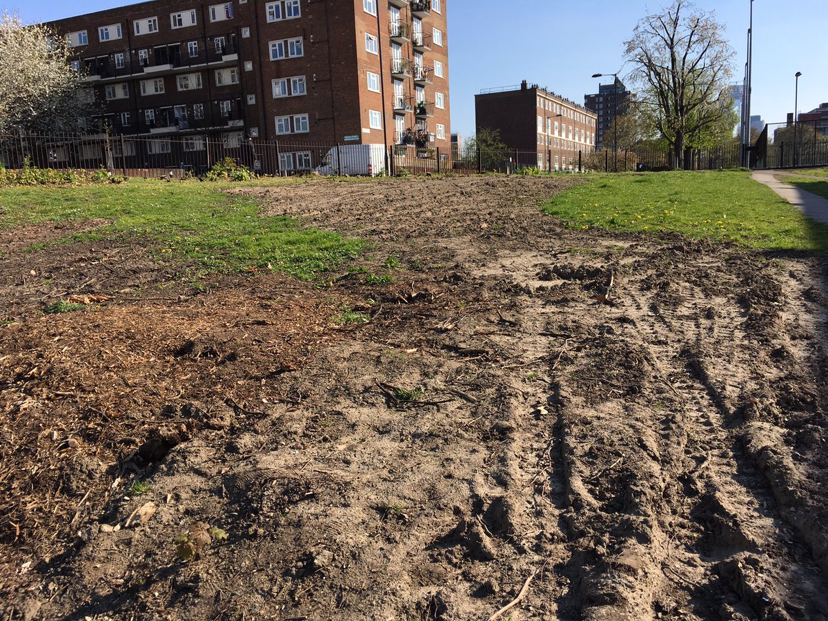 Robin Hawkes tweet media