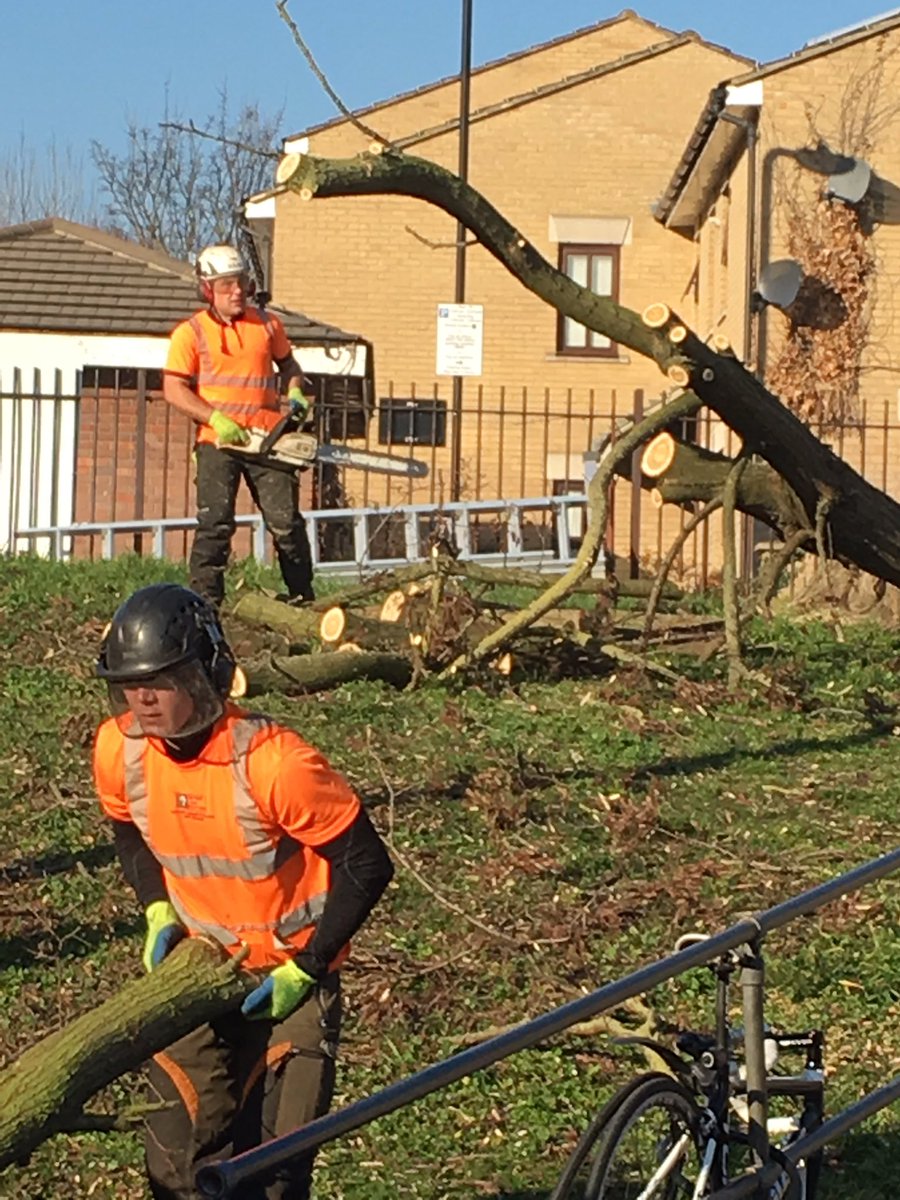 Robin Hawkes tweet media